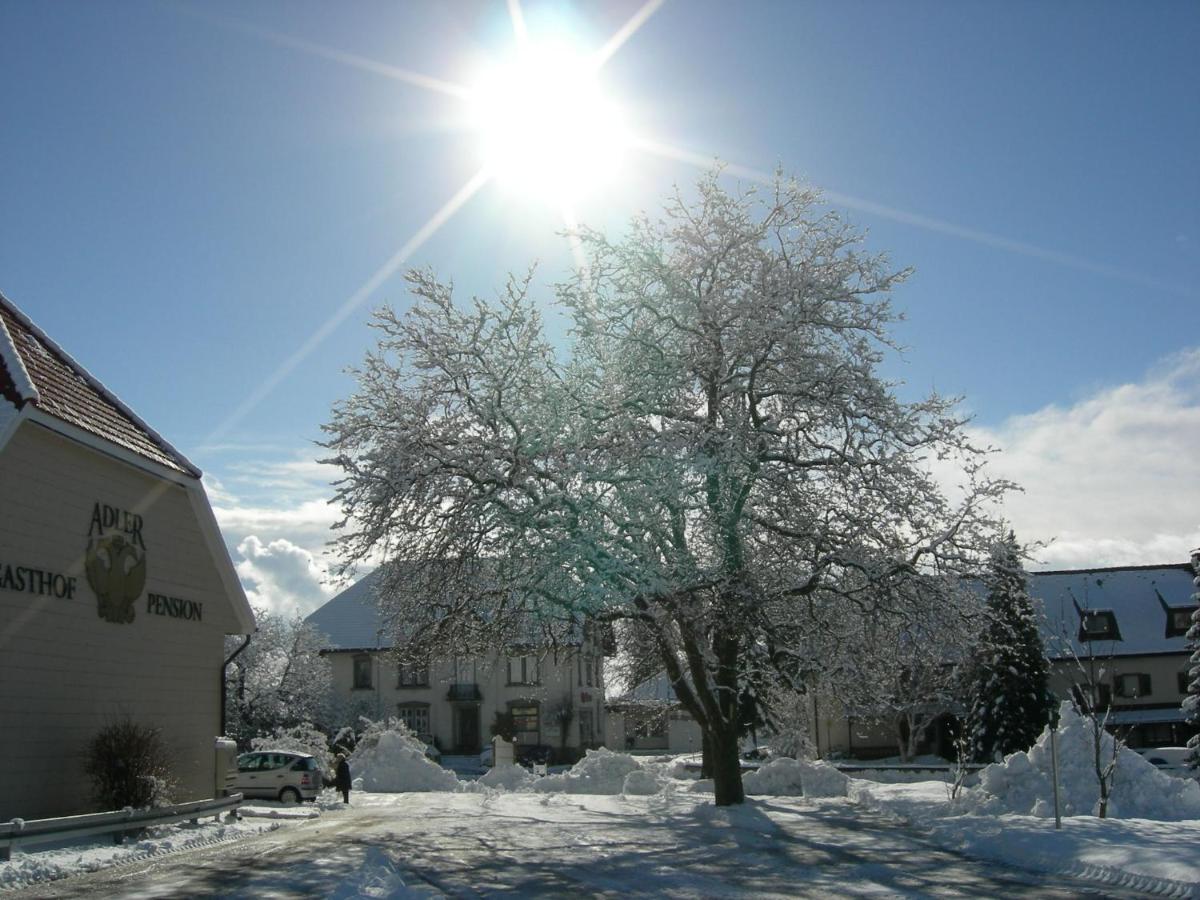 Pension Adler Bannholz Екстер'єр фото