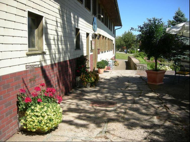 Pension Adler Bannholz Екстер'єр фото